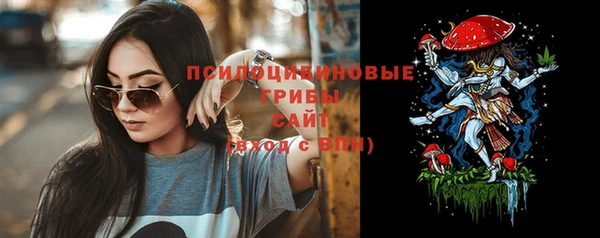 мяу мяу мука Няндома