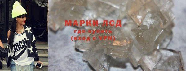 прущие грибы Новокубанск