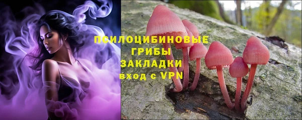 spice Нягань
