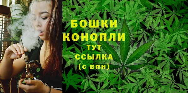мяу мяу мука Няндома